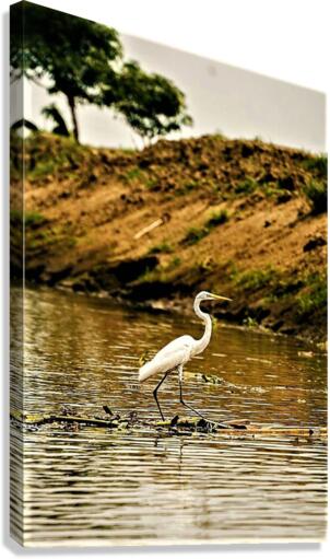 1395 Canvas Print
