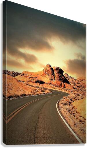 1397 Canvas Print