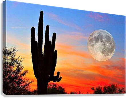 1405 Canvas Print