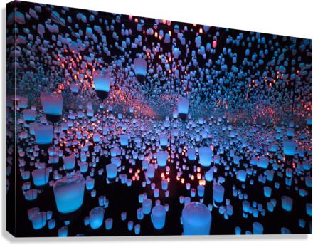 1409 Canvas Print