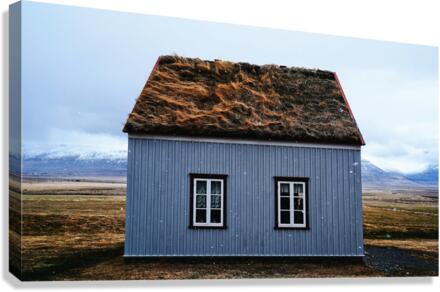 1411 Canvas Print
