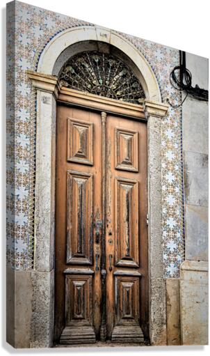 1417 Canvas Print