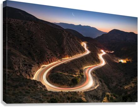 1422 Canvas Print