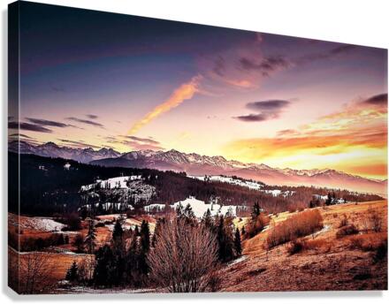 1424 Canvas Print
