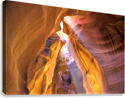 1426 Canvas Print