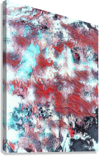 1427 Canvas Print