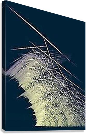 1431 Canvas Print