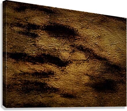 1435 Canvas Print