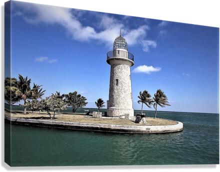 1439 Canvas Print