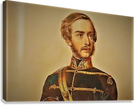 1445 Canvas Print