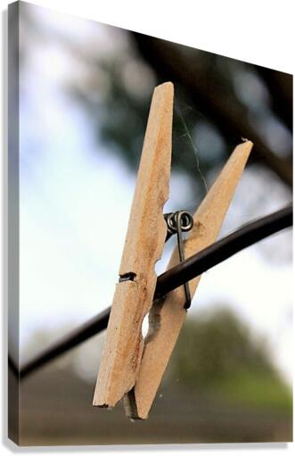 1456 Canvas Print