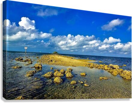 1460 Canvas Print