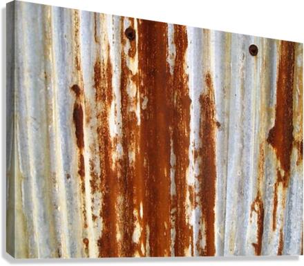 1464 Canvas Print