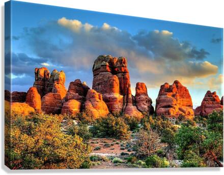 1468 Canvas Print
