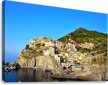1474 Canvas Print