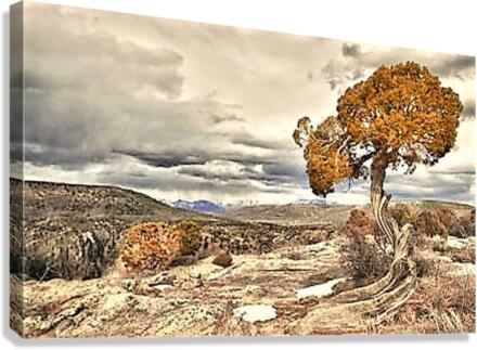 1476 Canvas Print