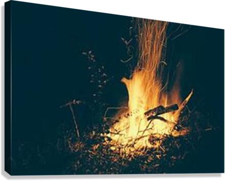 1482 Canvas Print