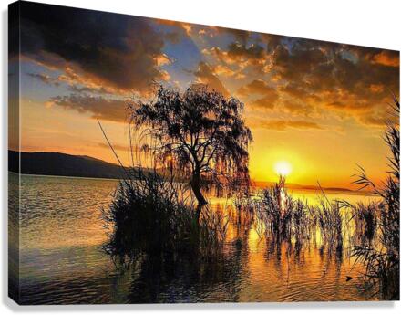 1484 Canvas Print