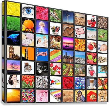 1486 Canvas Print