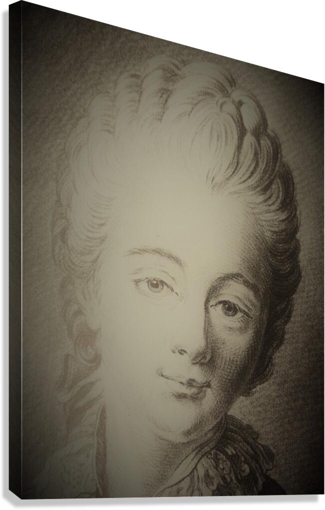 1496 Canvas Print