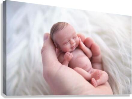 1504 Canvas Print