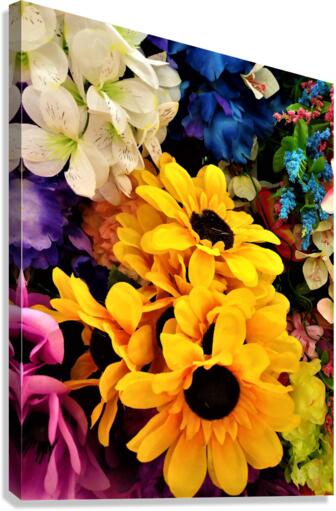 1521 Canvas Print