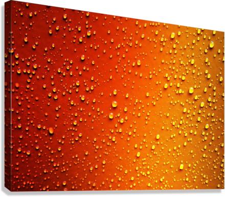 1522 Canvas Print