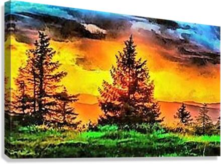 1529 Canvas Print