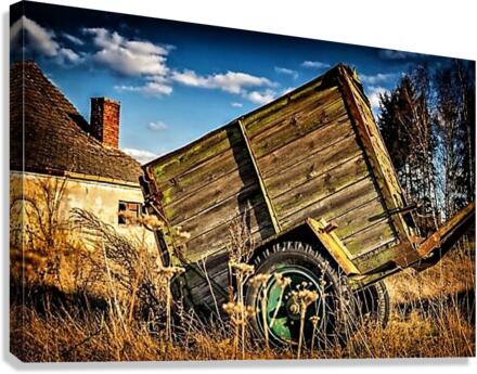 1538 Canvas Print