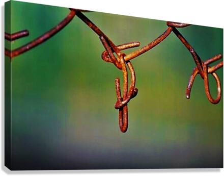 1545 Canvas Print