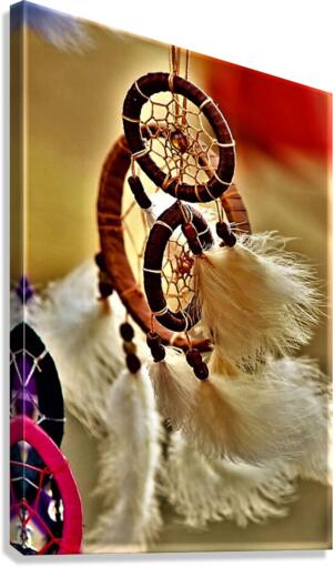 1547 Canvas Print
