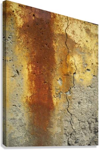 1556 Canvas Print