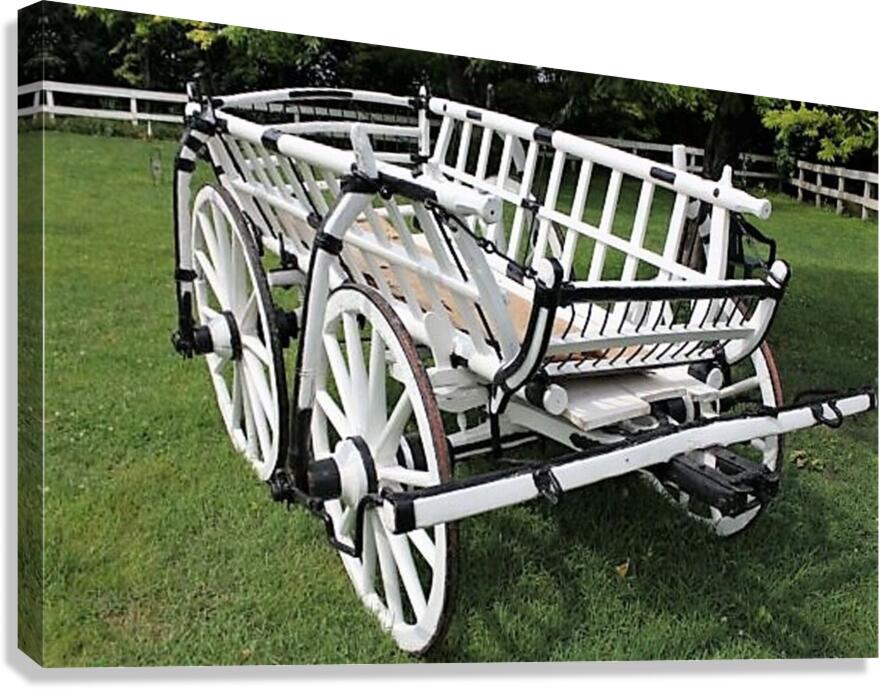 1558 Canvas Print