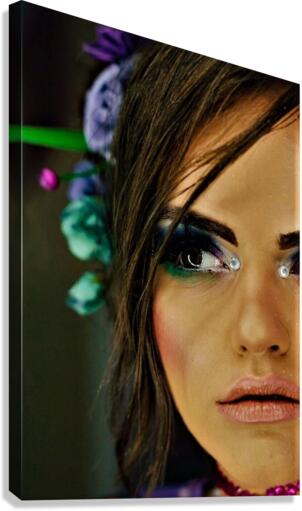 1564 Canvas Print