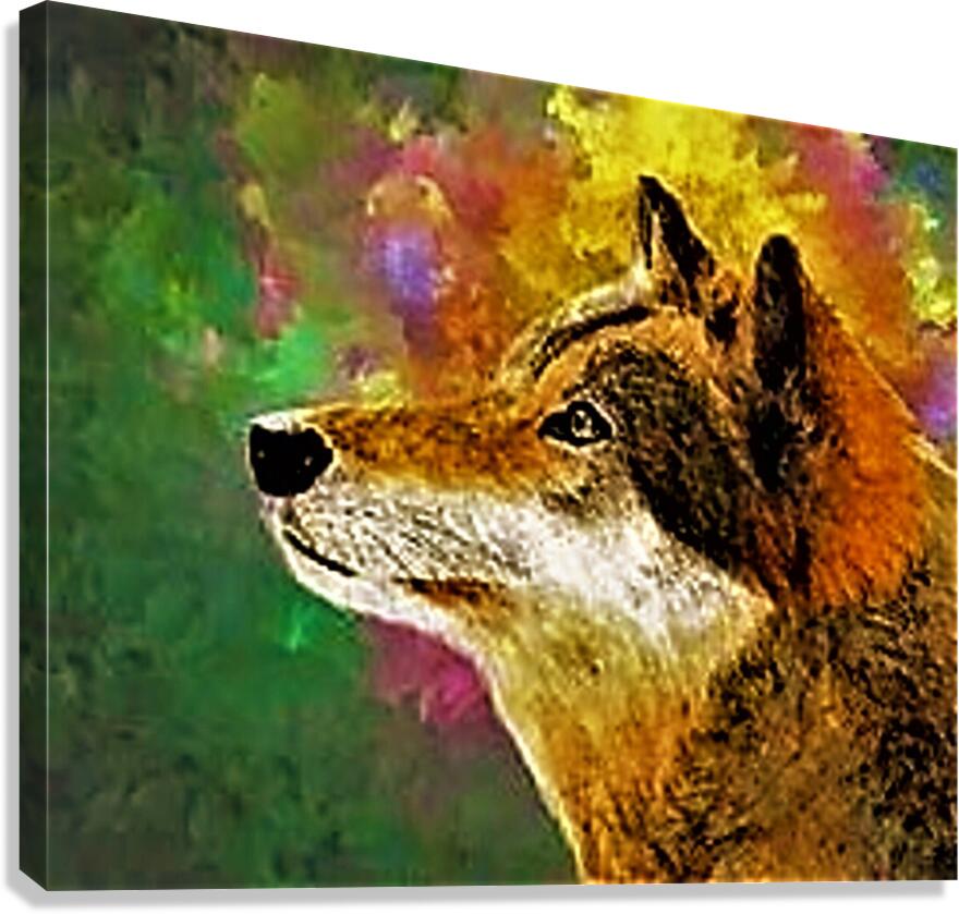 1567 Canvas Print