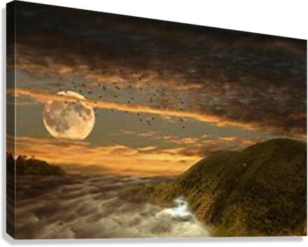 1569 Canvas Print