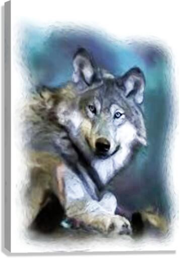 1571 Canvas Print