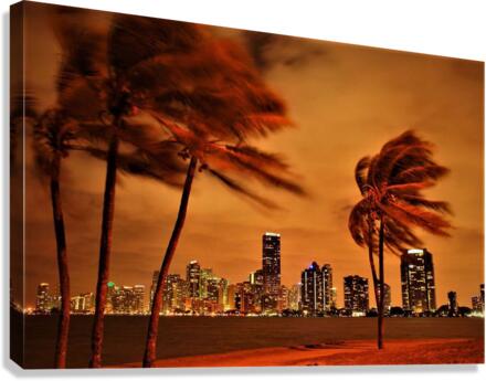 1574 Canvas Print