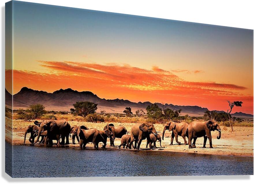 1575 Canvas Print