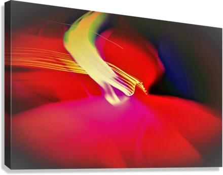 1617 Canvas Print