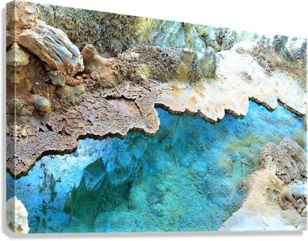 1640 Canvas Print