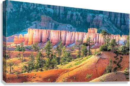 1645 Canvas Print