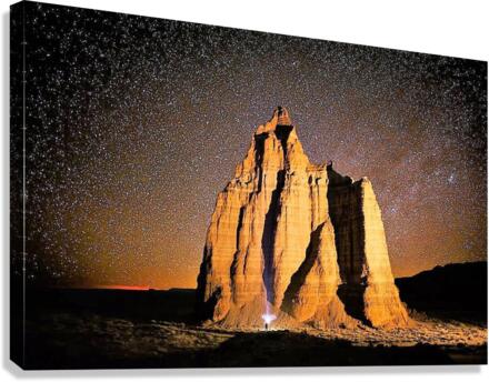 1647 Canvas Print