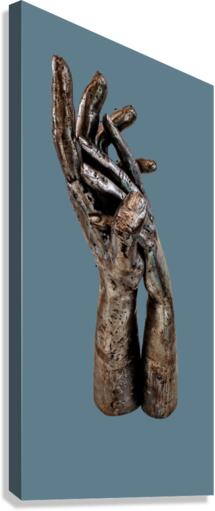 1659 Canvas Print