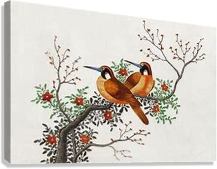 1661 Canvas Print