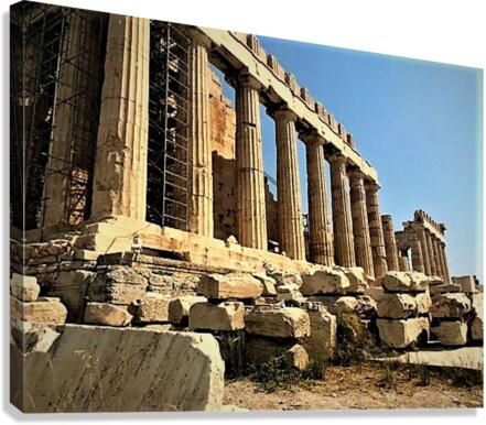 1678 Canvas Print