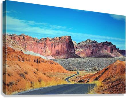 1696 Canvas Print