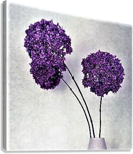 1704 Canvas Print