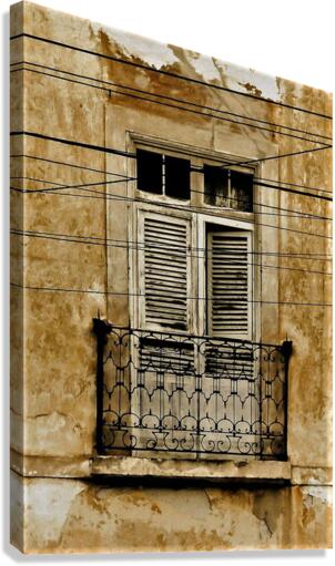 1707 Canvas Print