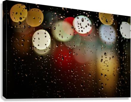 1718 Canvas Print